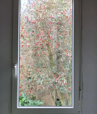 Appartement Tranquilo Y Bonito Con Preciosas Vistas *